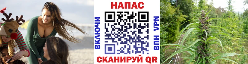 Галлюциногенные грибы Благовещенск