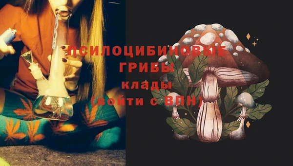 ешки Алзамай