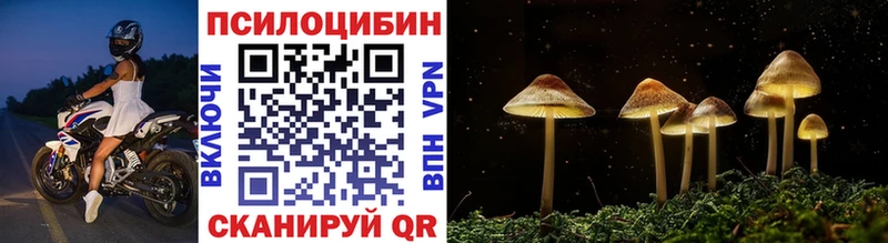 сколько стоит mega вход Псилоцибиновые грибы MAGIC MUSHROOMS Благовещенск